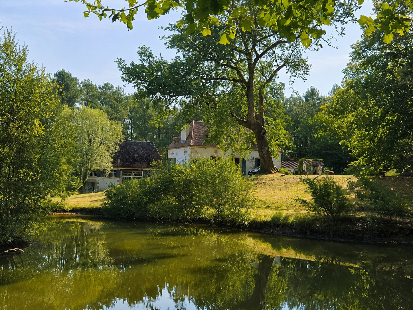 Ensemble de 3 habitations sur un parc de 2ha76 avec étang!