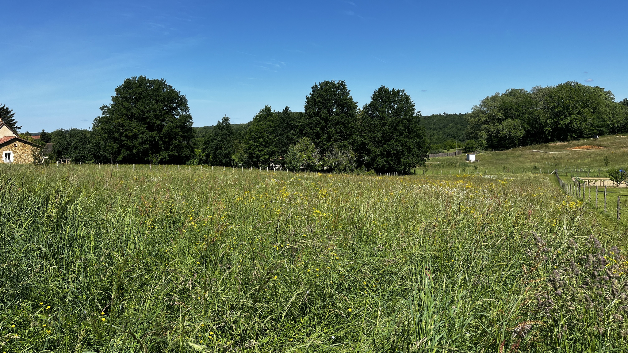 Terrain de 3 353 m2 en campagne avec belle exposition